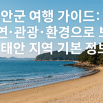 태안군 여행 가이드