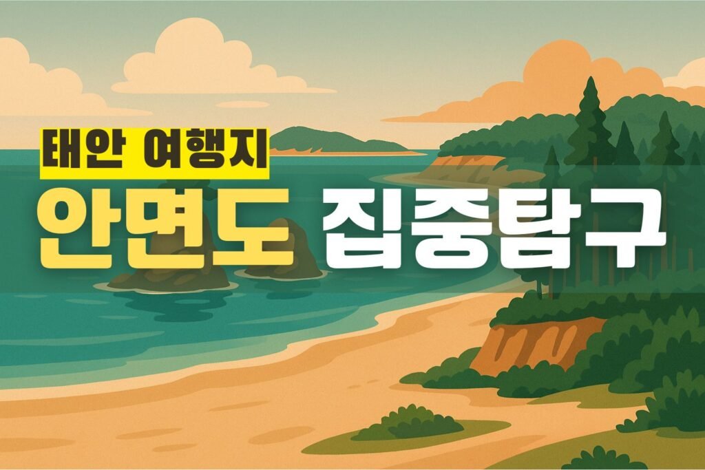 안면도 집중탐구