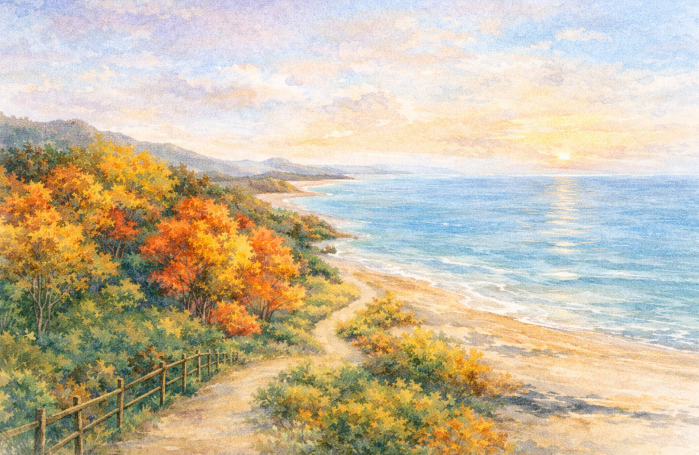 가을빛을 띠는 태안 해안 산책로와 주변 풍경
