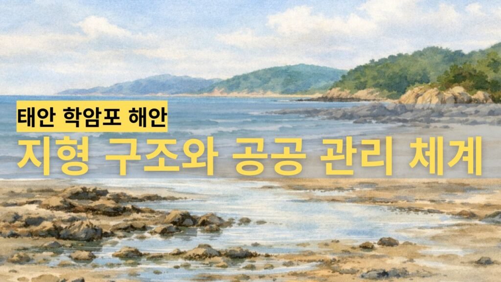 태안 학암포 해안의 지형 구조를 보여주는 자연환경 이미지